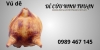 vu-de - ảnh nhỏ  1